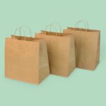 Kraft Paper Bag with Twisted Handle